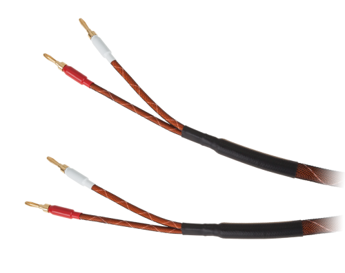 photo_1296500