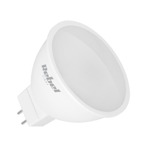photo_2469500