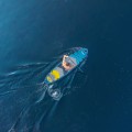 photo_16179