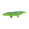 photo_24785