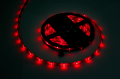photo_9771