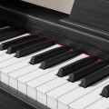 photo_26718