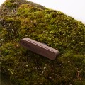 photo_26081