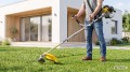 photo_29595