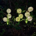 photo_29633