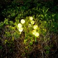 photo_29634