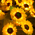 photo_29640