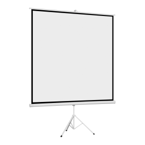 Ekran projekcyjny stojący Cabletech 200x200cm 